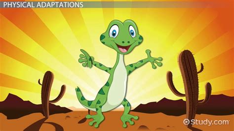 Unlock Your Child's Potential with the Magical Educational Vehicle Lizard